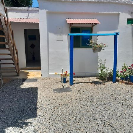 Hostal Paloma Cafe Паломино Экстерьер фото